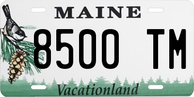 ME license plate 8500TM