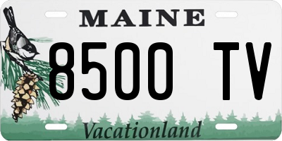 ME license plate 8500TV