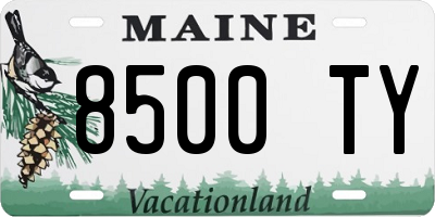 ME license plate 8500TY
