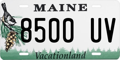 ME license plate 8500UV