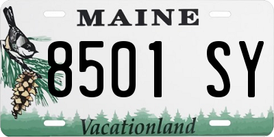 ME license plate 8501SY