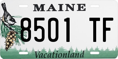 ME license plate 8501TF
