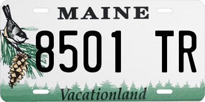 ME license plate 8501TR