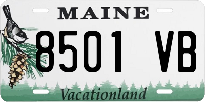 ME license plate 8501VB