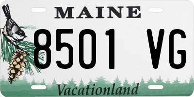 ME license plate 8501VG