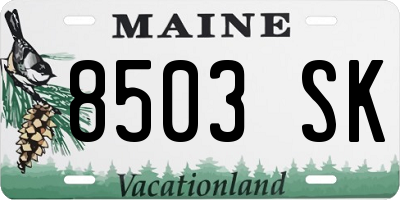 ME license plate 8503SK