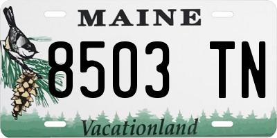 ME license plate 8503TN