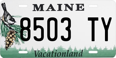 ME license plate 8503TY