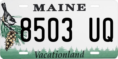 ME license plate 8503UQ