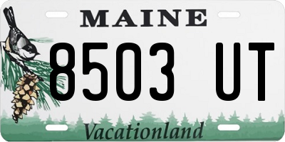 ME license plate 8503UT