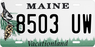 ME license plate 8503UW