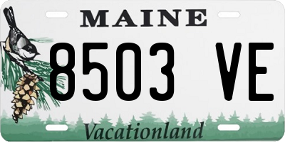 ME license plate 8503VE