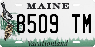 ME license plate 8509TM