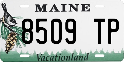 ME license plate 8509TP