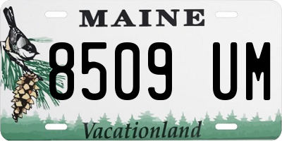 ME license plate 8509UM