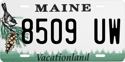 ME license plate 8509UW