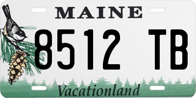 ME license plate 8512TB