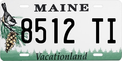 ME license plate 8512TI