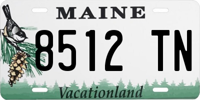 ME license plate 8512TN