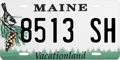 ME license plate 8513SH
