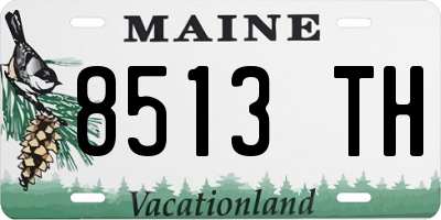 ME license plate 8513TH