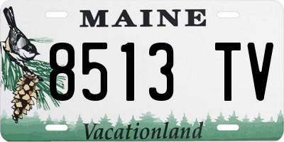 ME license plate 8513TV