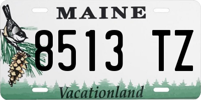 ME license plate 8513TZ