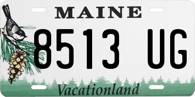 ME license plate 8513UG