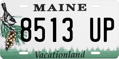 ME license plate 8513UP