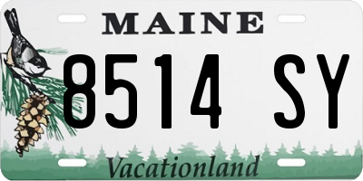 ME license plate 8514SY