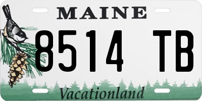 ME license plate 8514TB