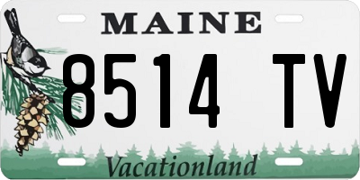 ME license plate 8514TV