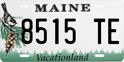 ME license plate 8515TE