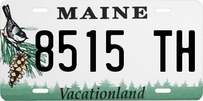 ME license plate 8515TH