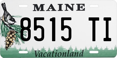 ME license plate 8515TI