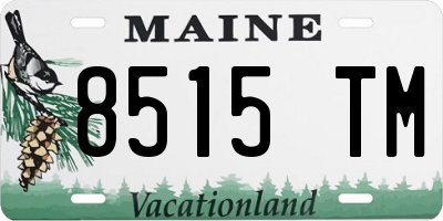 ME license plate 8515TM