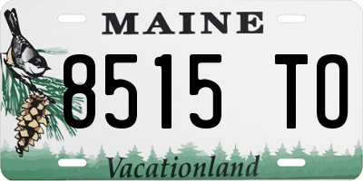 ME license plate 8515TO