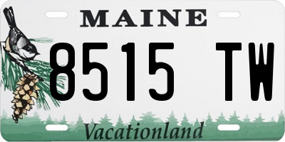 ME license plate 8515TW