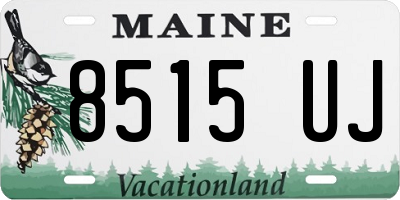 ME license plate 8515UJ