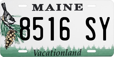 ME license plate 8516SY