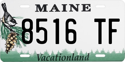 ME license plate 8516TF