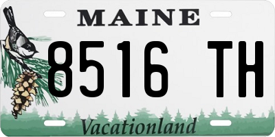 ME license plate 8516TH