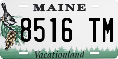 ME license plate 8516TM