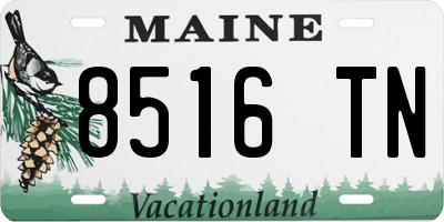 ME license plate 8516TN