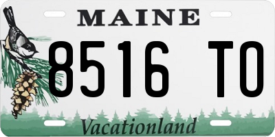 ME license plate 8516TO