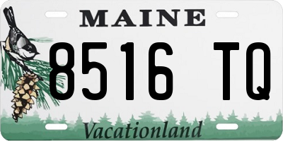 ME license plate 8516TQ
