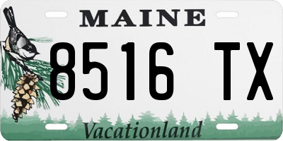 ME license plate 8516TX