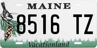 ME license plate 8516TZ
