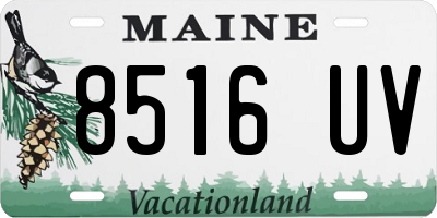 ME license plate 8516UV