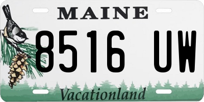 ME license plate 8516UW